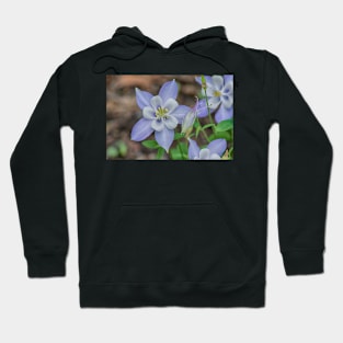 Pittsburgh Columbine Hoodie